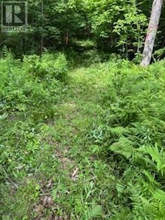 Property Photo:  1085 Old Mine Road  ON K7M 0H2 