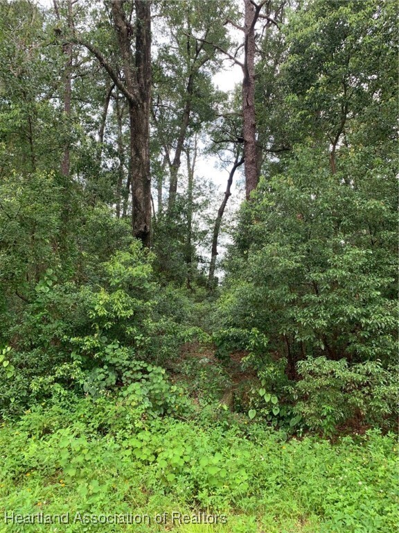 Property Photo: 0 Thornhill Drive FL 32776