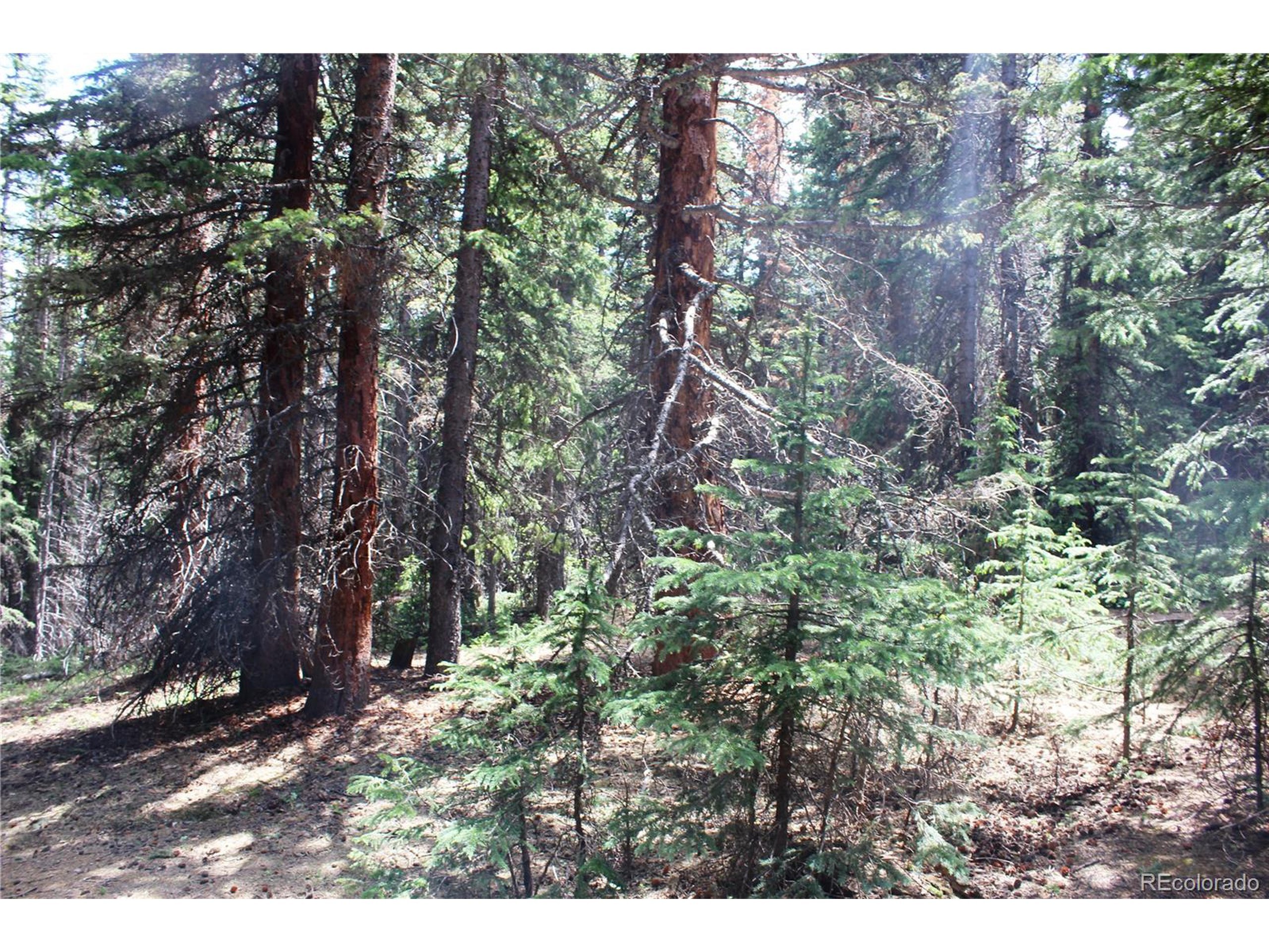 Property Photo: 13 Lamartine Rd CO 80452
