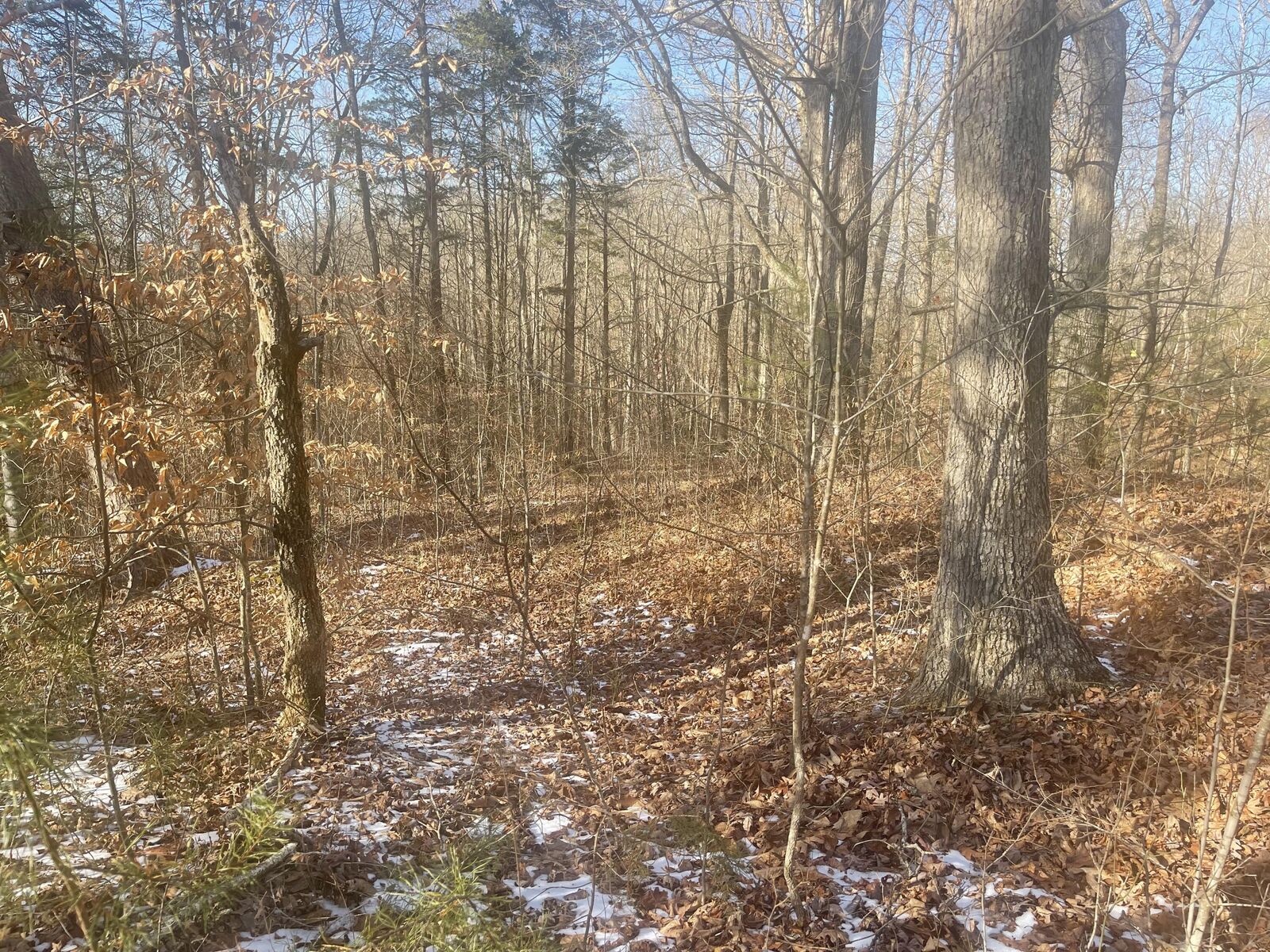 Property Photo: Lot 2 Cumberland Shores KY 42633