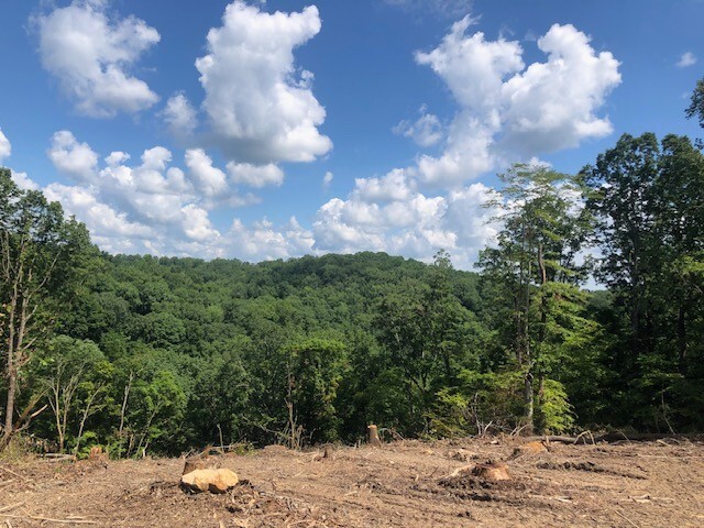 Property Photo: 1097 Paiute Trail TN 37143