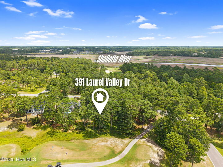 Property Photo:  391 Laurel Valley Drive  NC 28470 