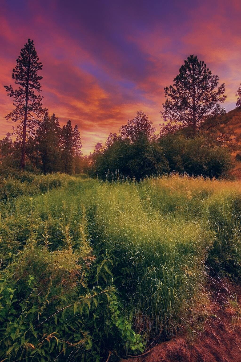Property Photo: 38010 Redwine Canyon Rd N WA 99147