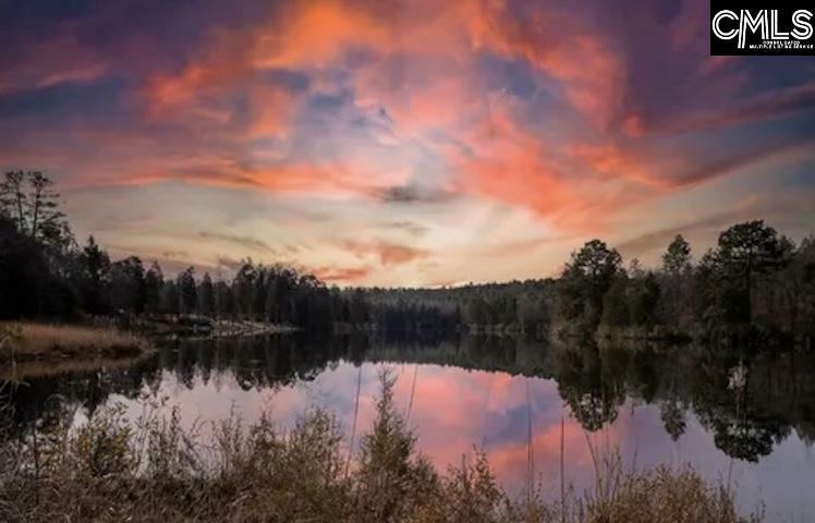 152 Living Waters  Lexington SC 29073 photo