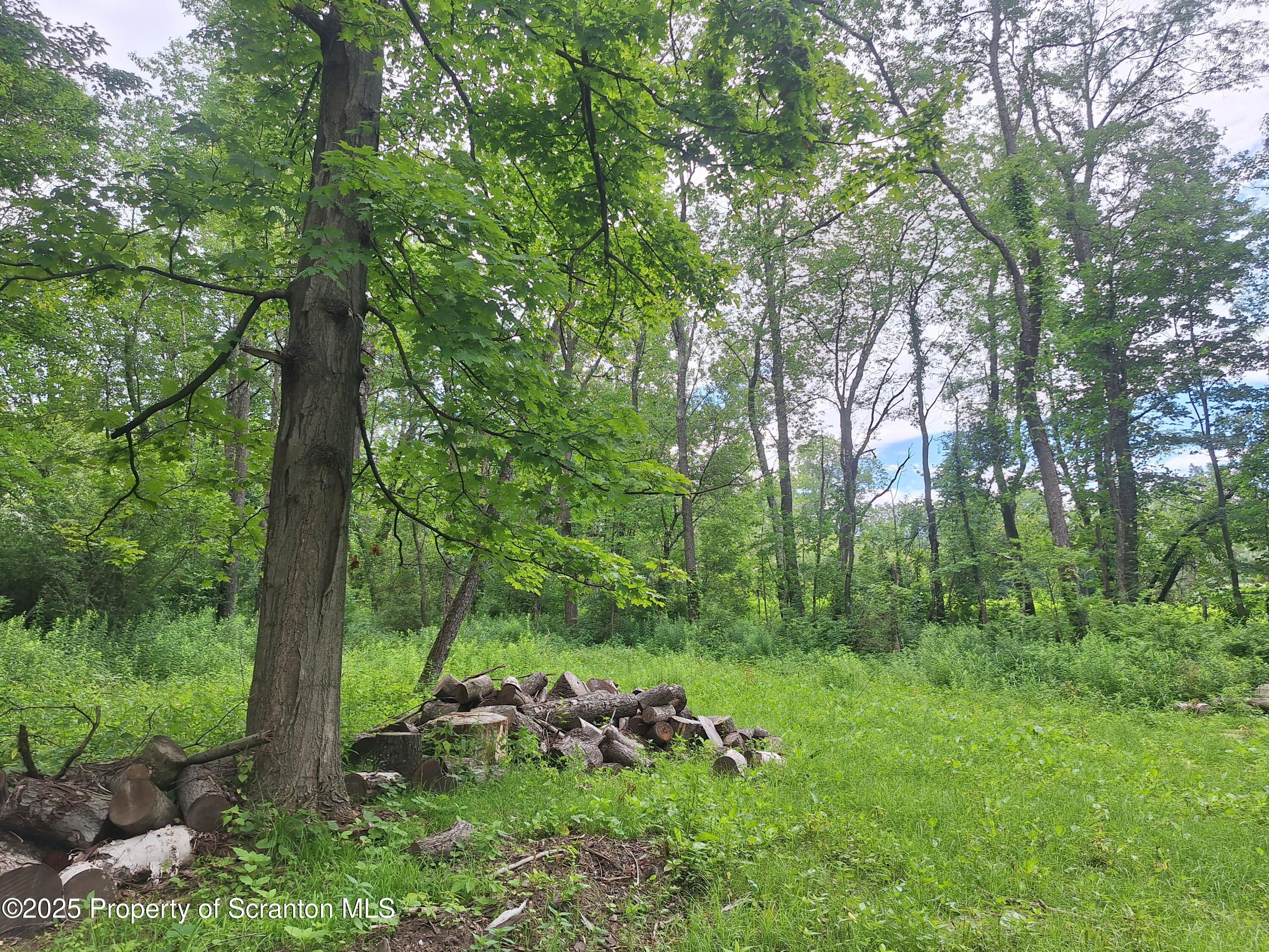 Ackerly Rd  Scott Twp PA 18411 photo
