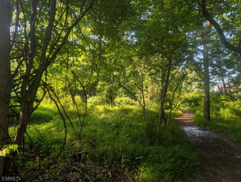 Property Photo: 0 Hall Avenue NJ 08821