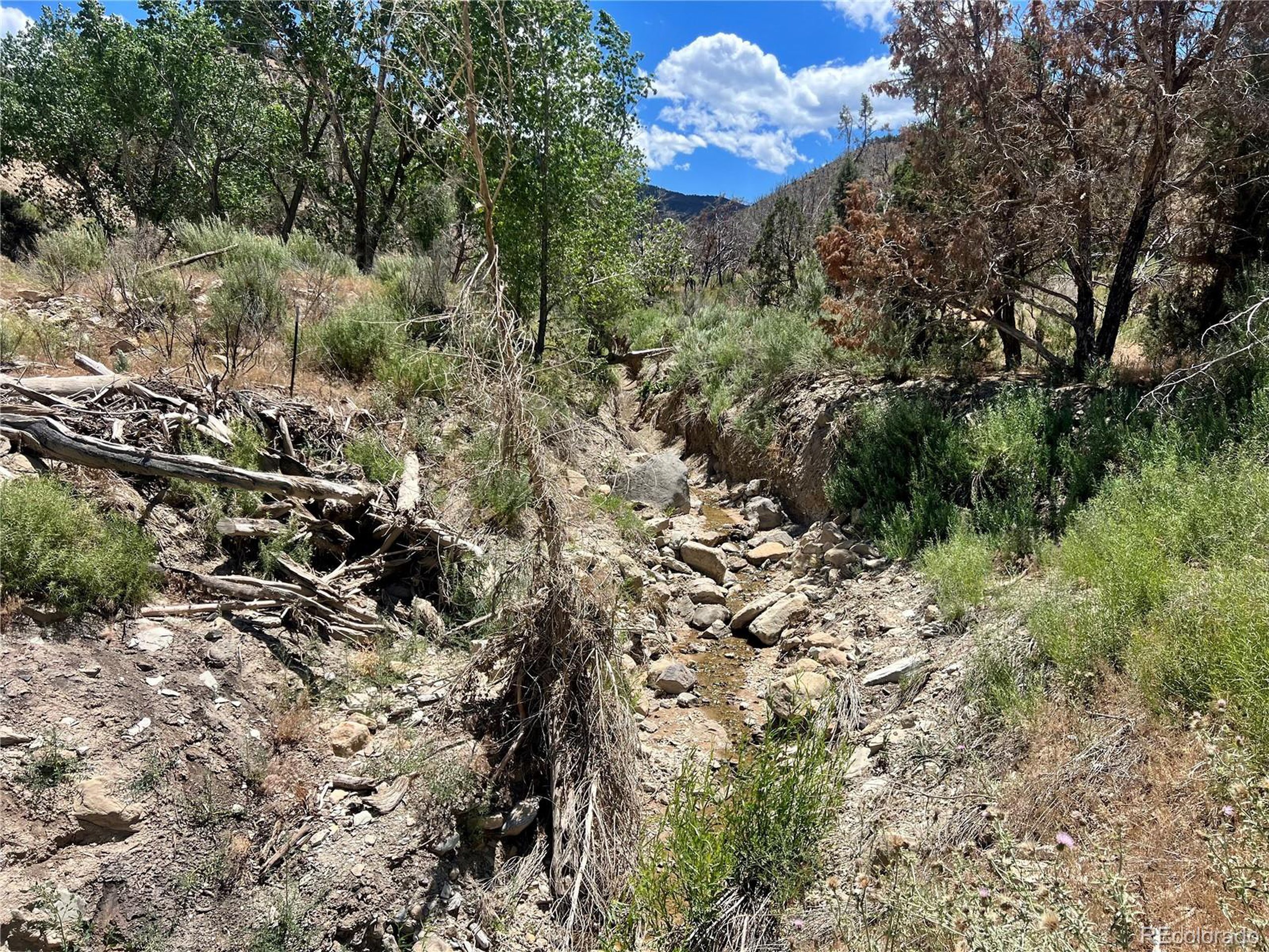 Property Photo: 1691 County Road 300 CO 81635