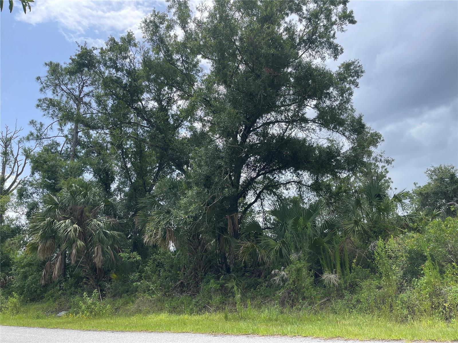 Property Photo:  Bellefonte  FL 34286 