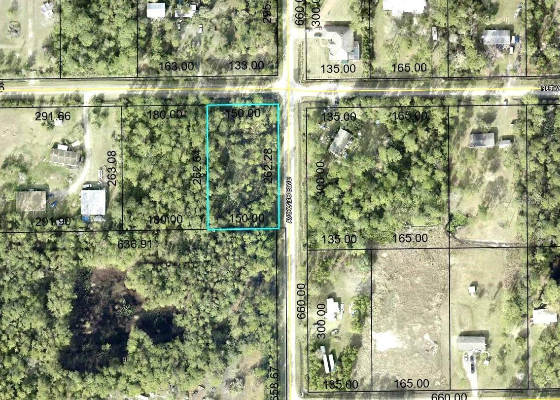 Property Photo: 5958 Nutwood Avenue FL 32110