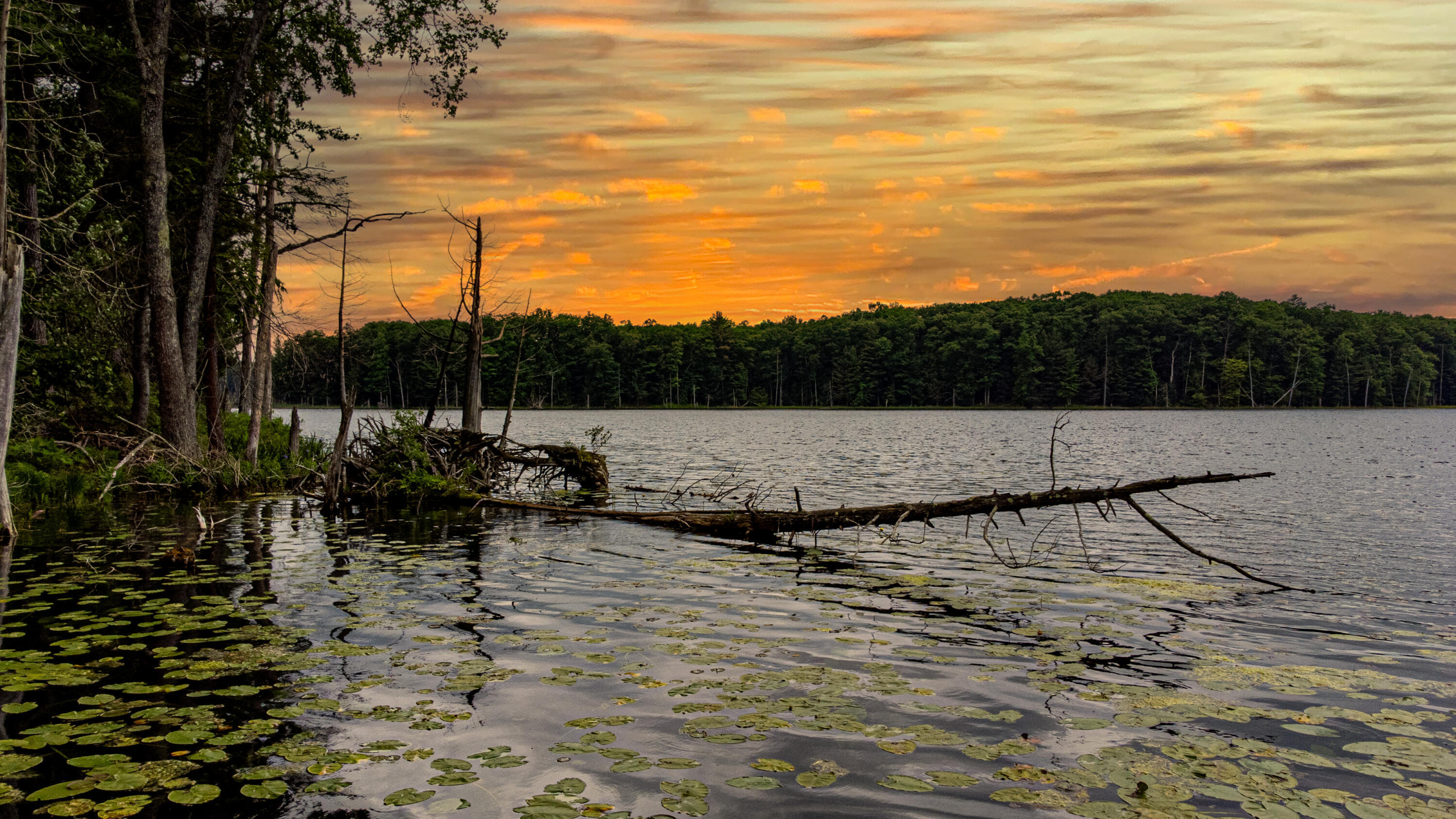 Property Photo: 5696 E Winter Road MI 49459