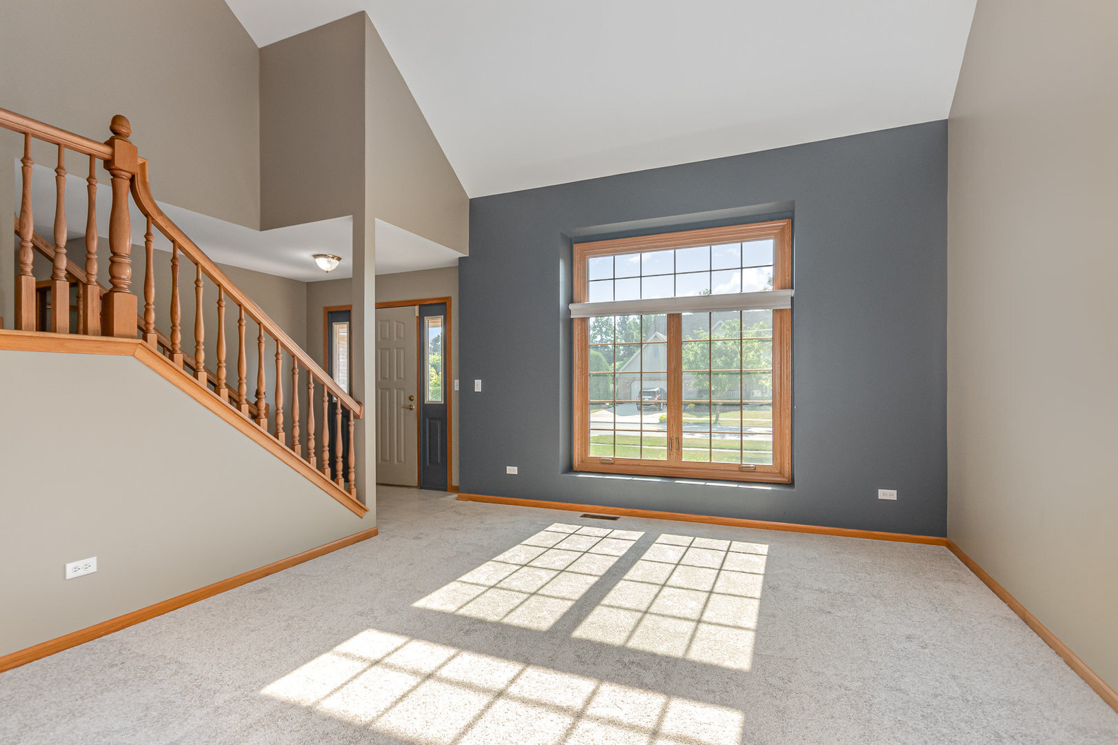 Property Photo:  641 Downing Street  IL 60451 