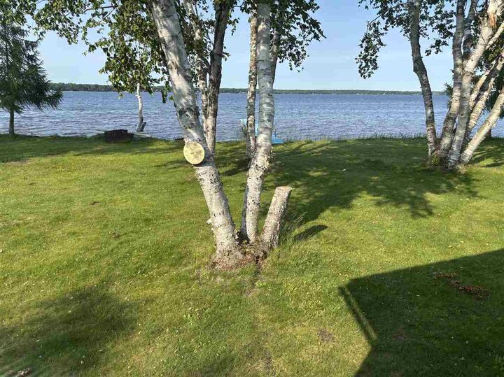 Property Photo:  9218 Pachy  MI 49718 