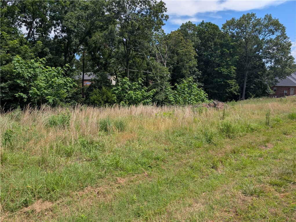 Property Photo: Ironwood Court AR 72756