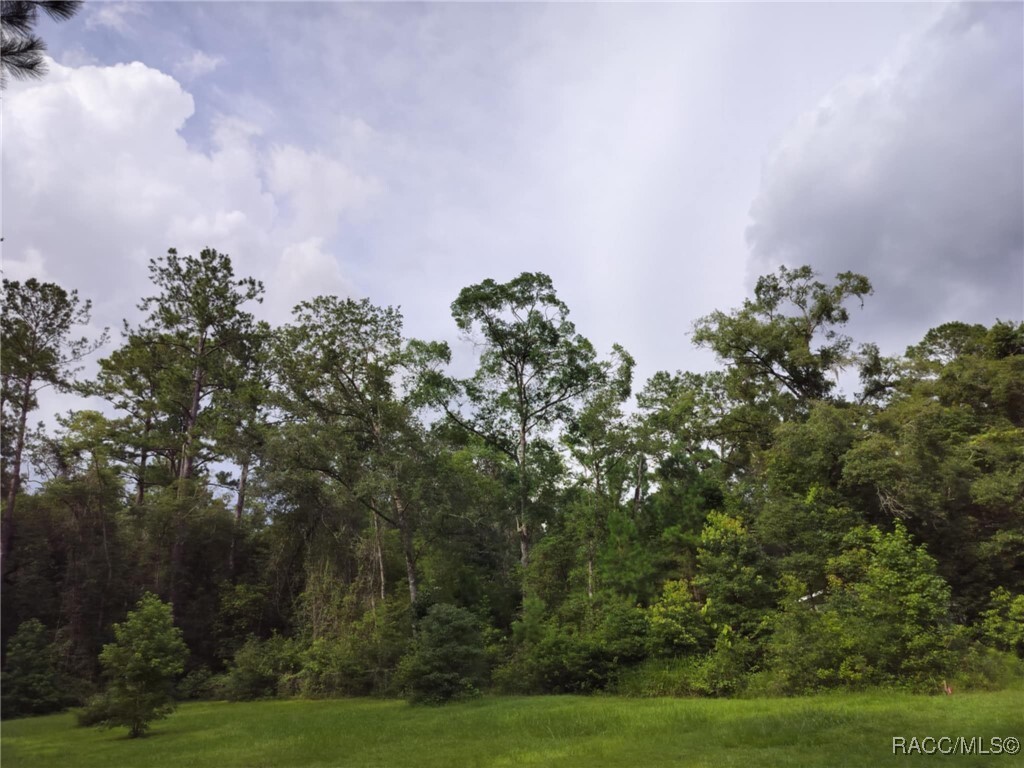 Property Photo: 19308 Wildwood Drive FL 34601