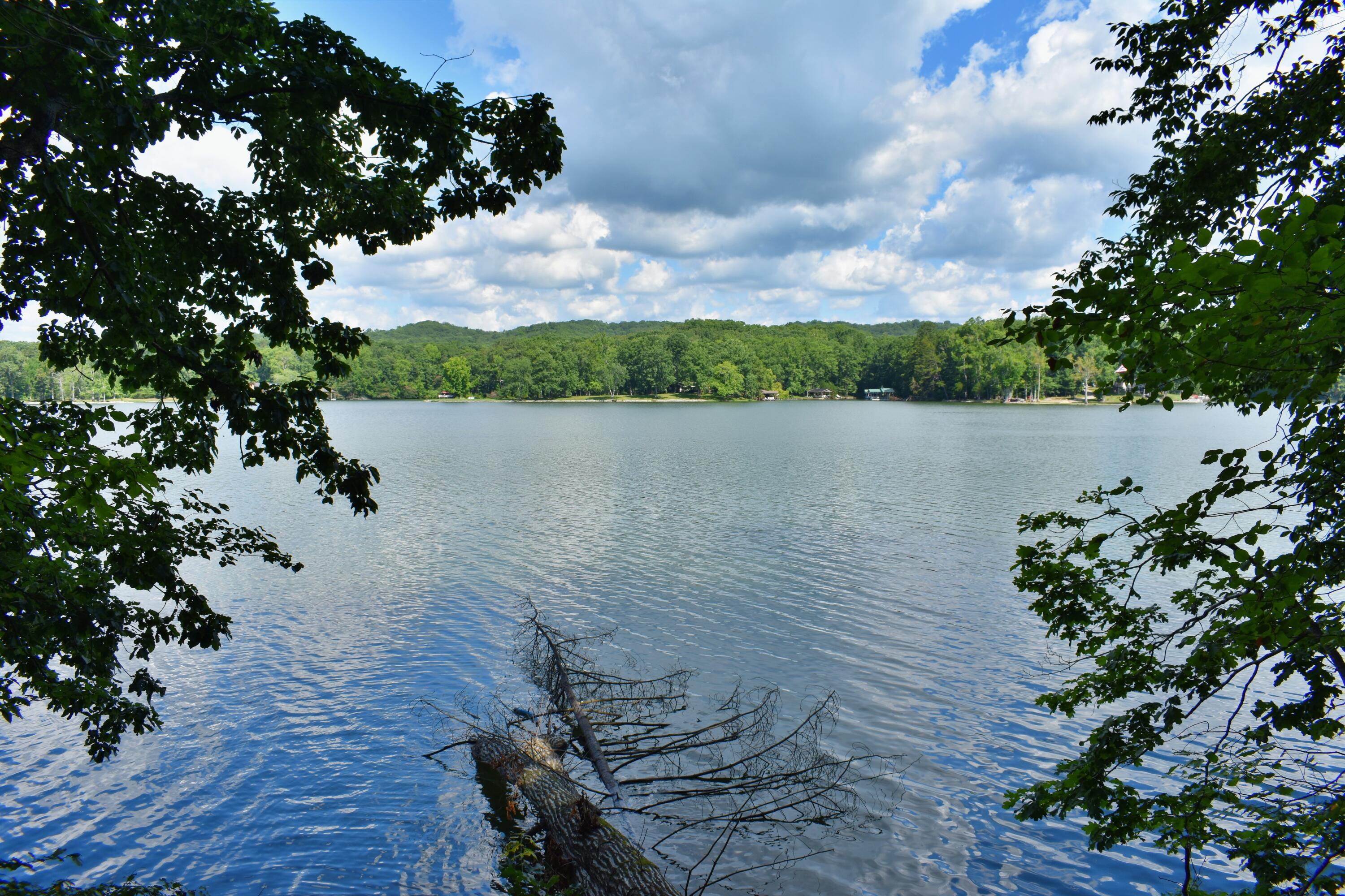 Property Photo: Lot 3 Kirkham Drive TN 37854
