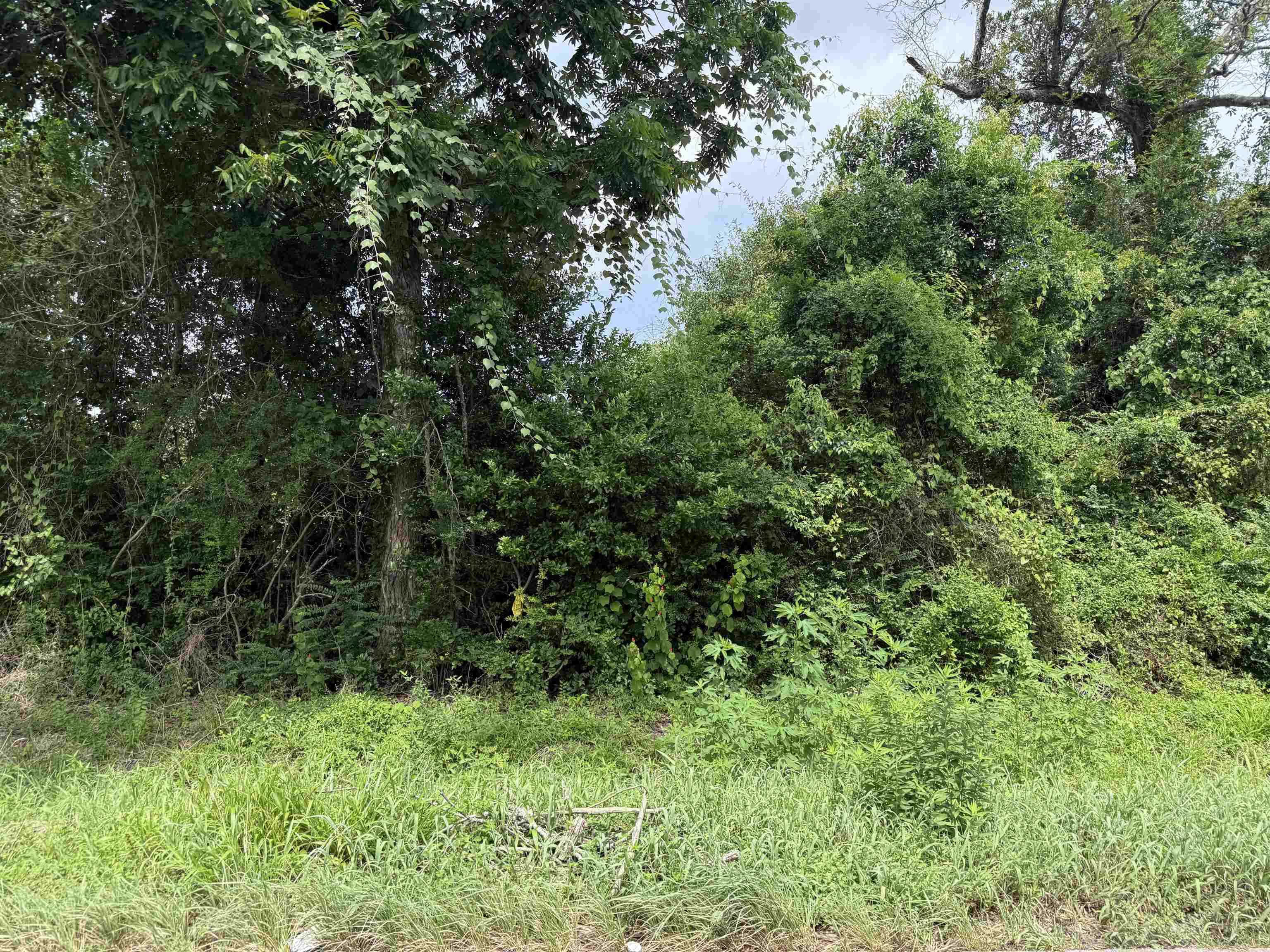 Property Photo: 1103 14 Th St TX 77630