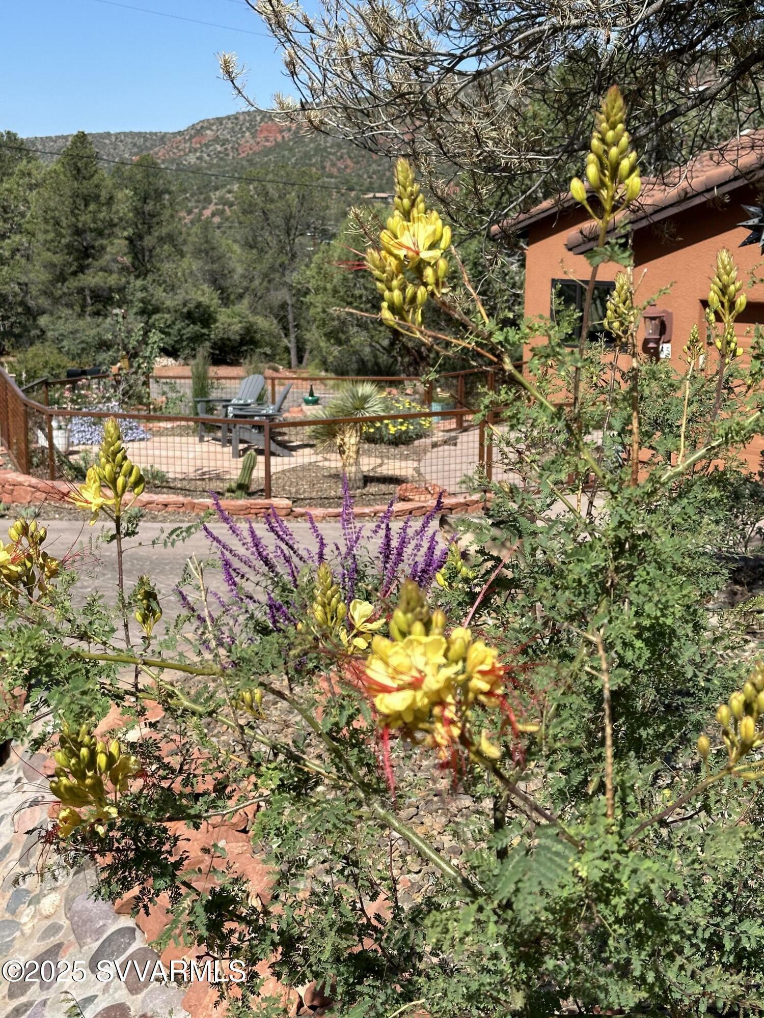 Property Photo: 55 Cactus Drive AZ 86336