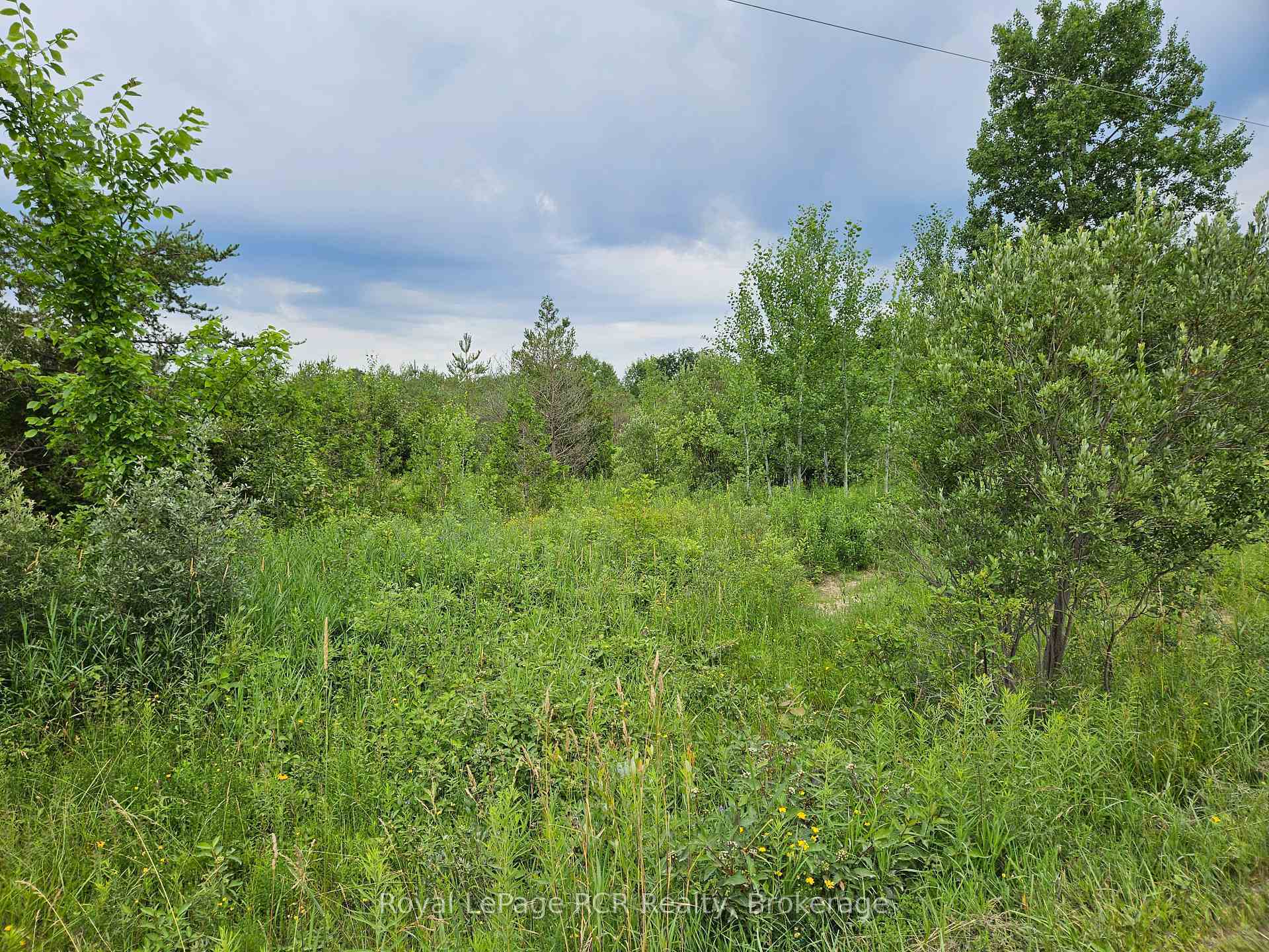 Property Photo:  Ptl 17 Southgate 13 Side Road  ON N0C 1B0 