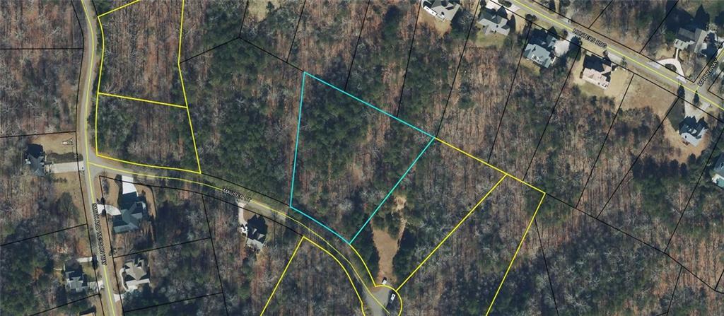 Property Photo: 0 Mauser Court GA 30143