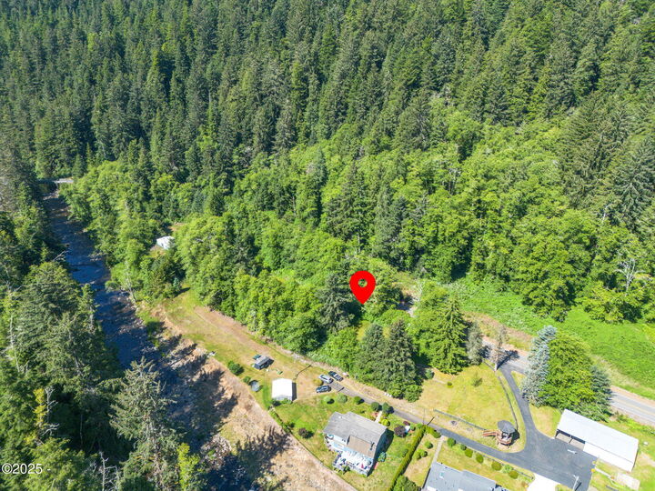 Property Photo:  Tax Lot # Tl00501  Little Nestucca River Road  OR 97112 
