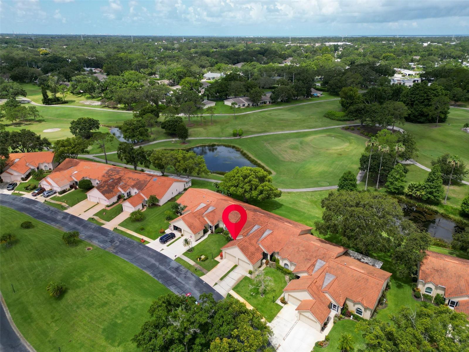 Property Photo: 1164 Rustlewood Court FL 34684