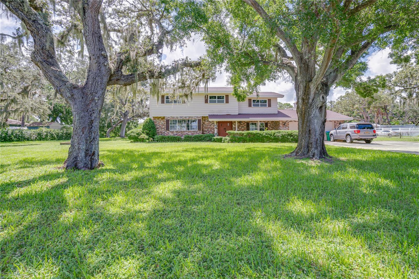6625 Burning Tree Drive  Seminole FL 33777 photo