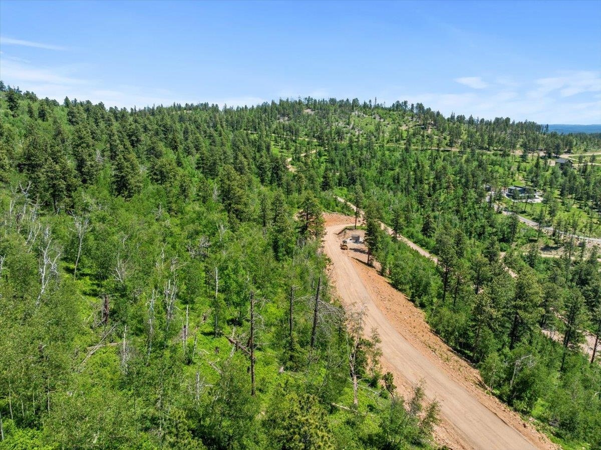 Property Photo:  Lot 6 Wapiti Road  SD 57754 