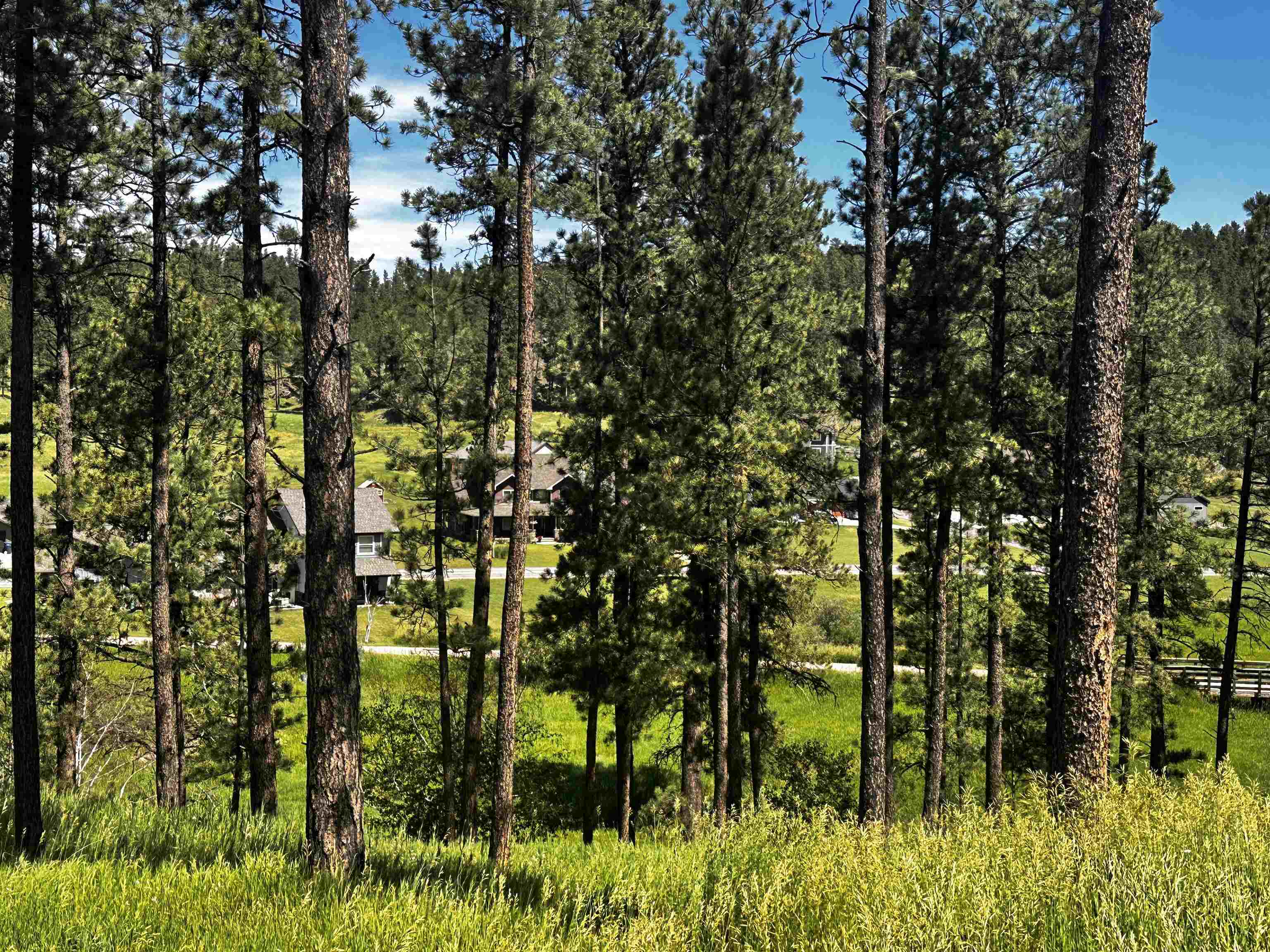 Block 7 Lot 5  Hill City SD 57745 photo