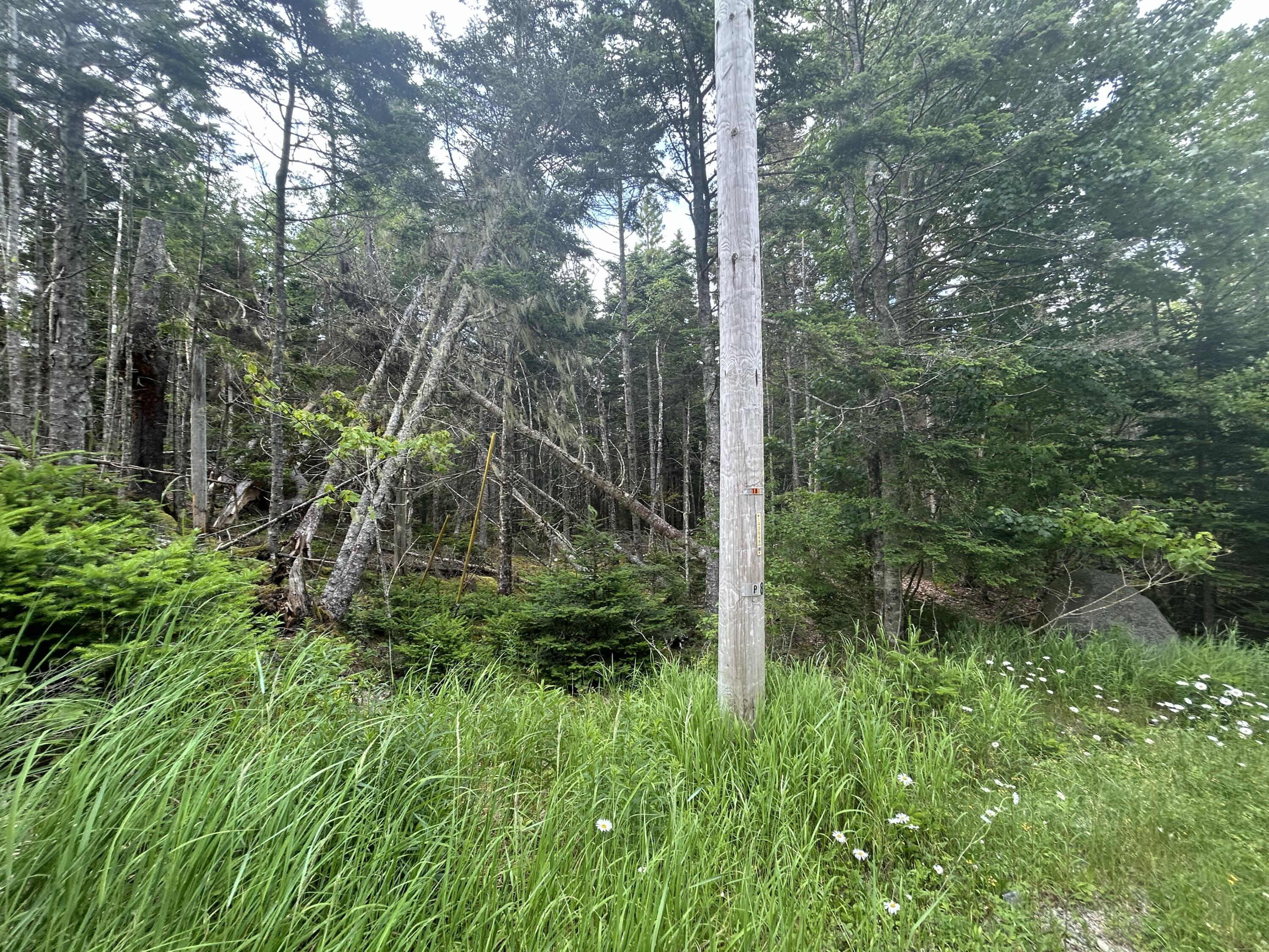 Property Photo: 8,9,10&14 Kent/Bar Island/Wohoa Bay Road ME 04606