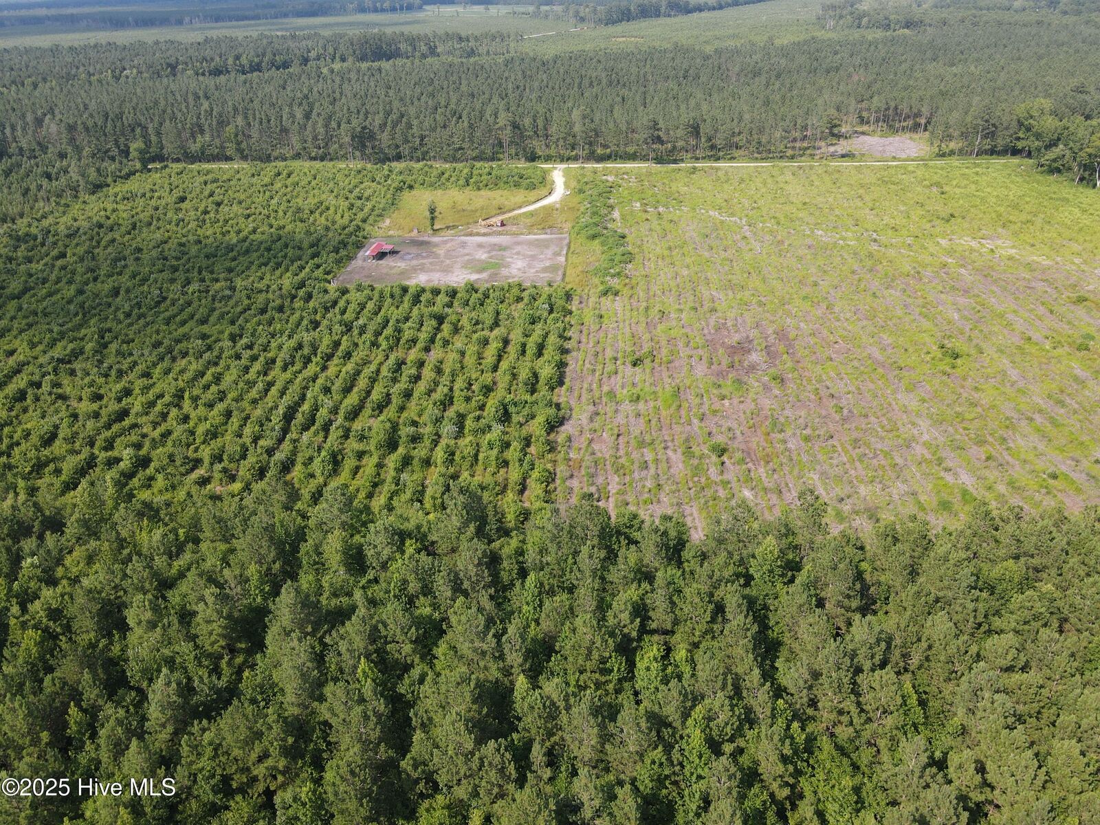 Property Photo: 143-217 War Tom Road NC 27805