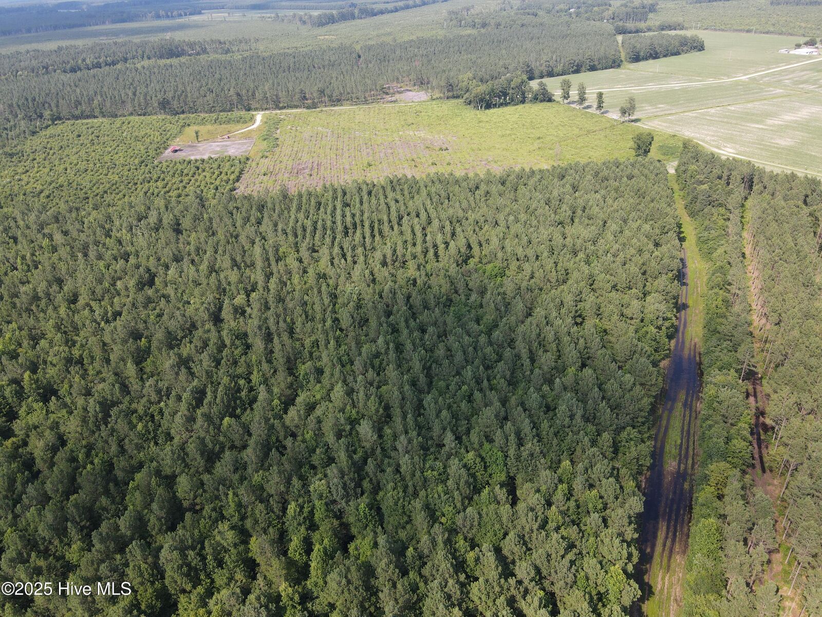 Property Photo:  143-217 War Tom Road  NC 27805 