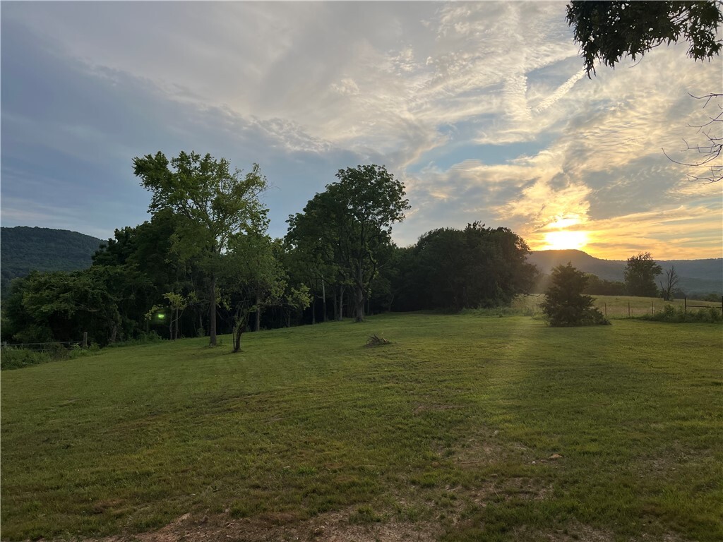 2880 Waters Drive  Harrison AR 72601 photo