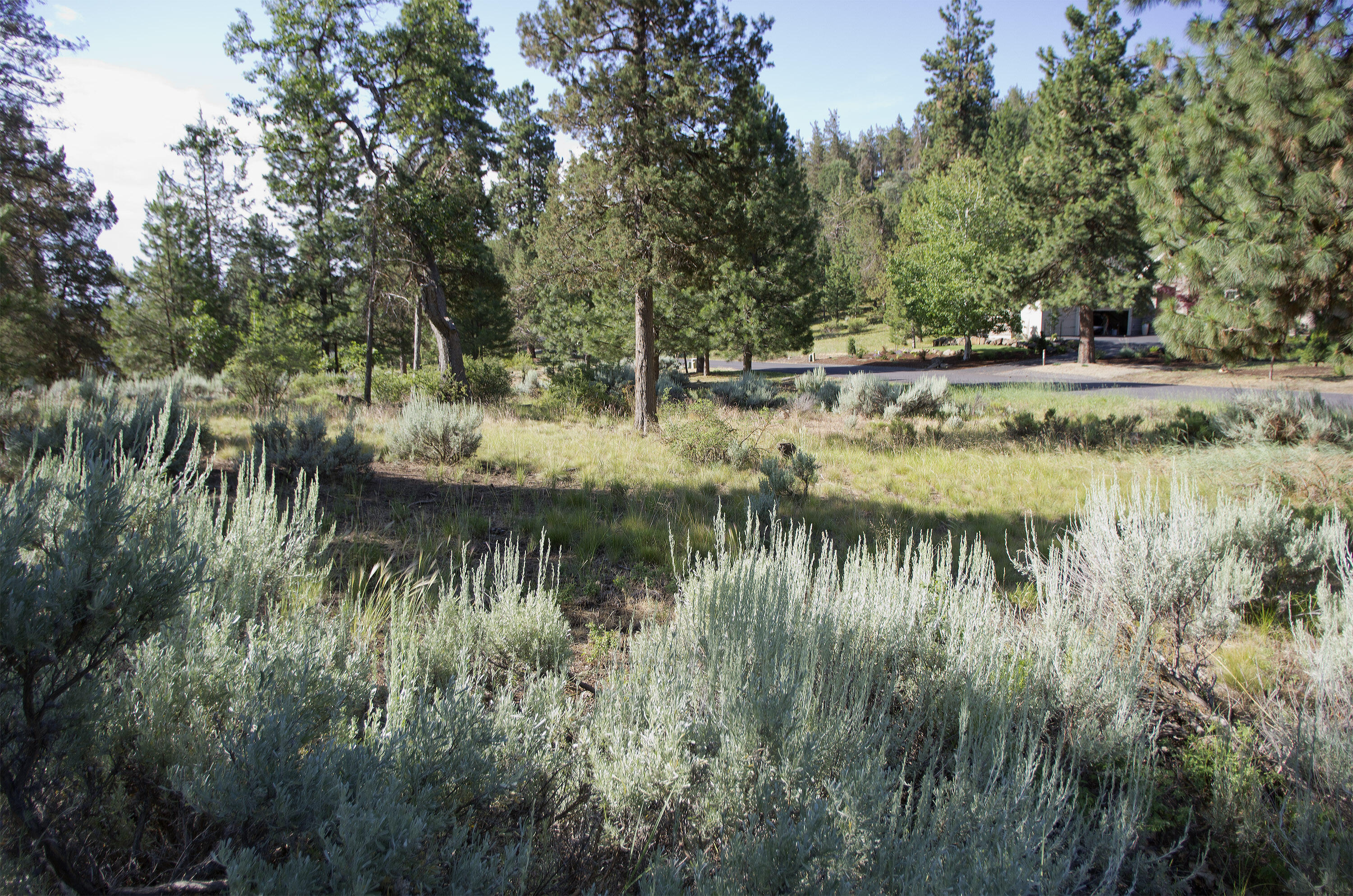Property Photo: Kestrel Rd Lot 727 OR 97601
