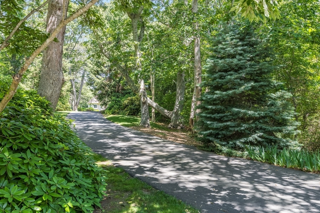 Property Photo:  79 Clowes Dr  MA 02540 