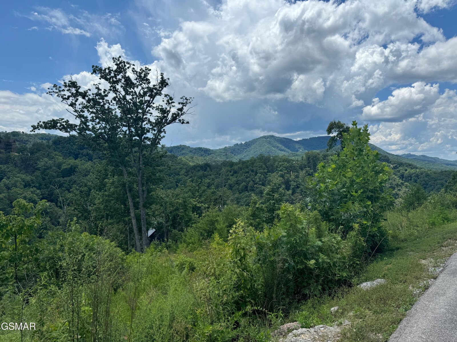Property Photo:  Lot 24 Coopers Hawk Way  TN 37862 