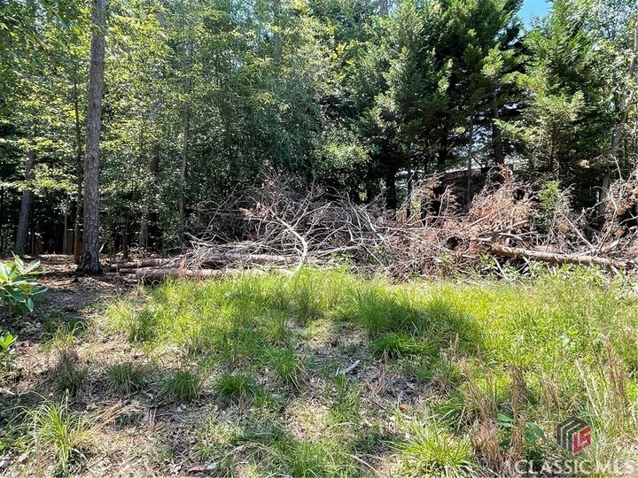 Property Photo:  Lot 4 Big Water Circle  GA 30643