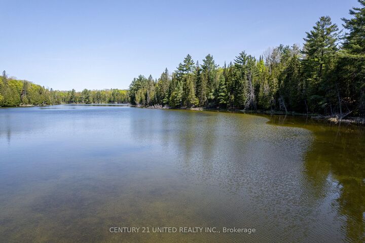 0 Johnson Road  North Kawartha ON K0L 1A0 photo