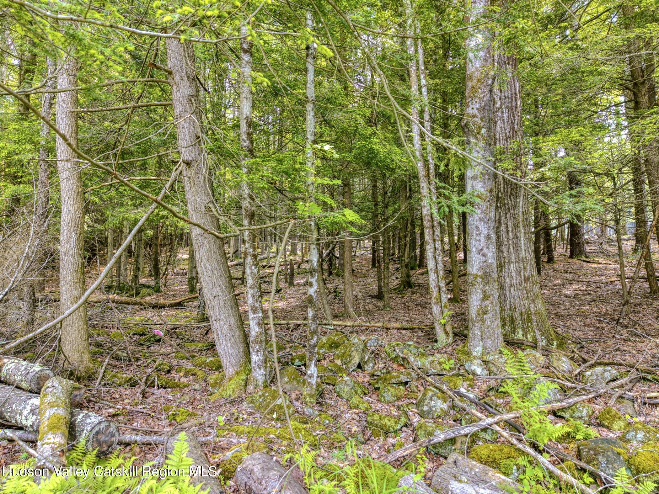 Property Photo: Tbd Boulder Brook Lot B10 NY 12496