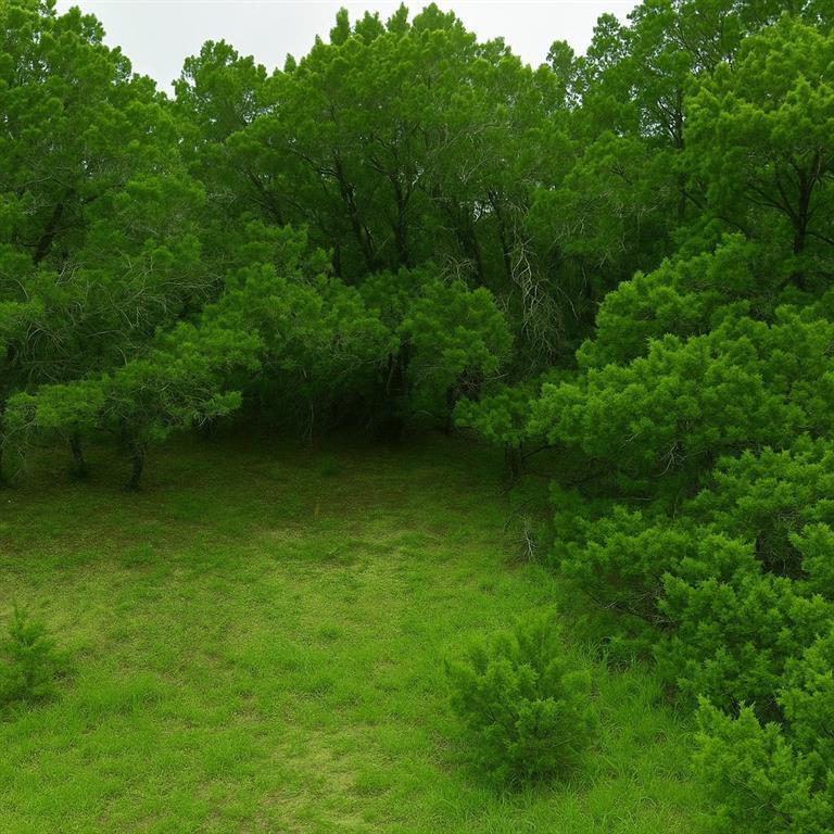 Property Photo: 4414 Liberty Lane TX 78645