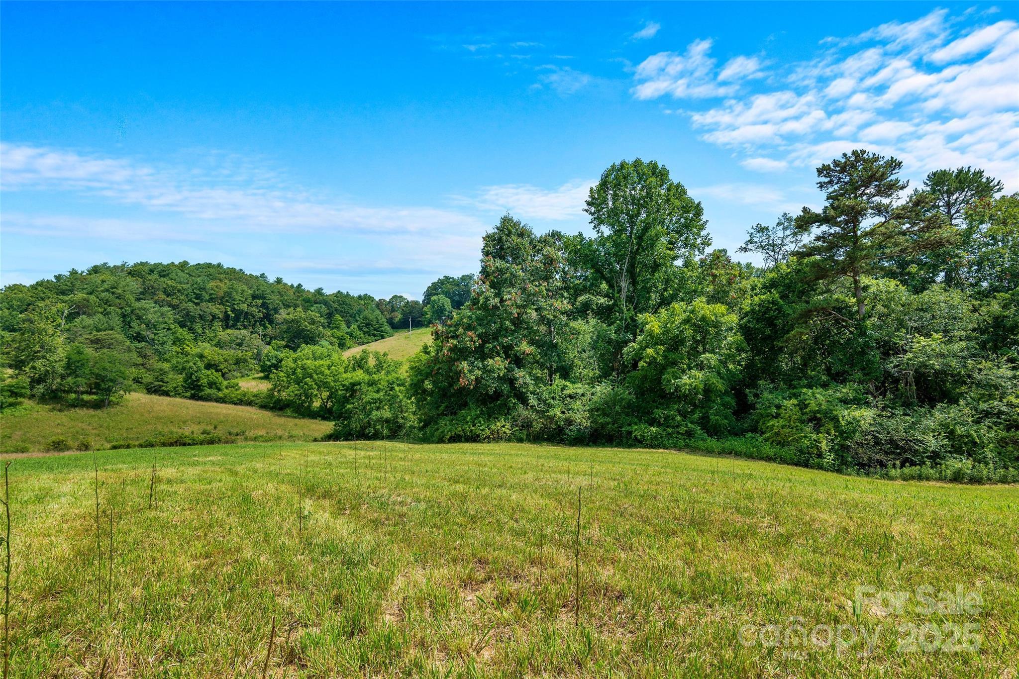 Property Photo:  113 Grandview Ridge Drive  NC 28701 