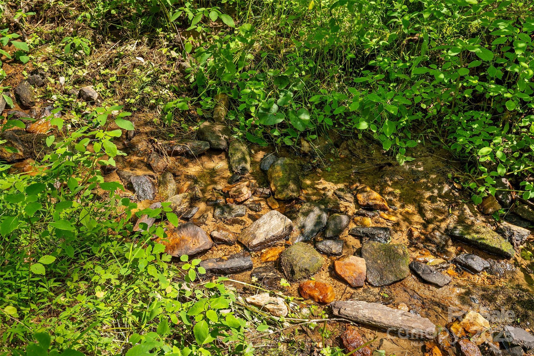 Property Photo:  117 Grandview Ridge Drive  NC 28701 