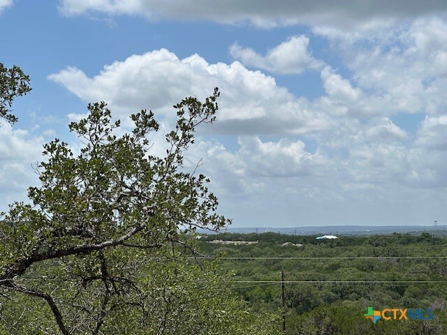 811 Hillside Drive  Spring Branch TX 78070 photo