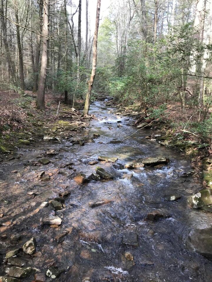 Property Photo: 1 Hobbstown Road TN 37327