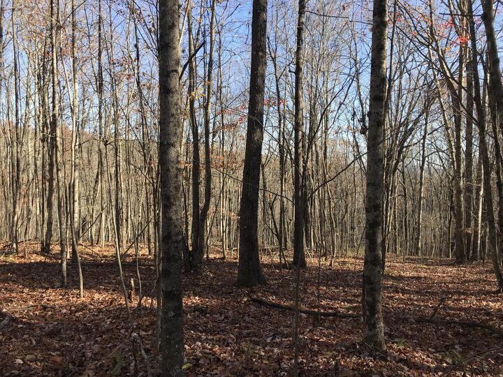 Property Photo:  1 Hobbstown Road  TN 37327 
