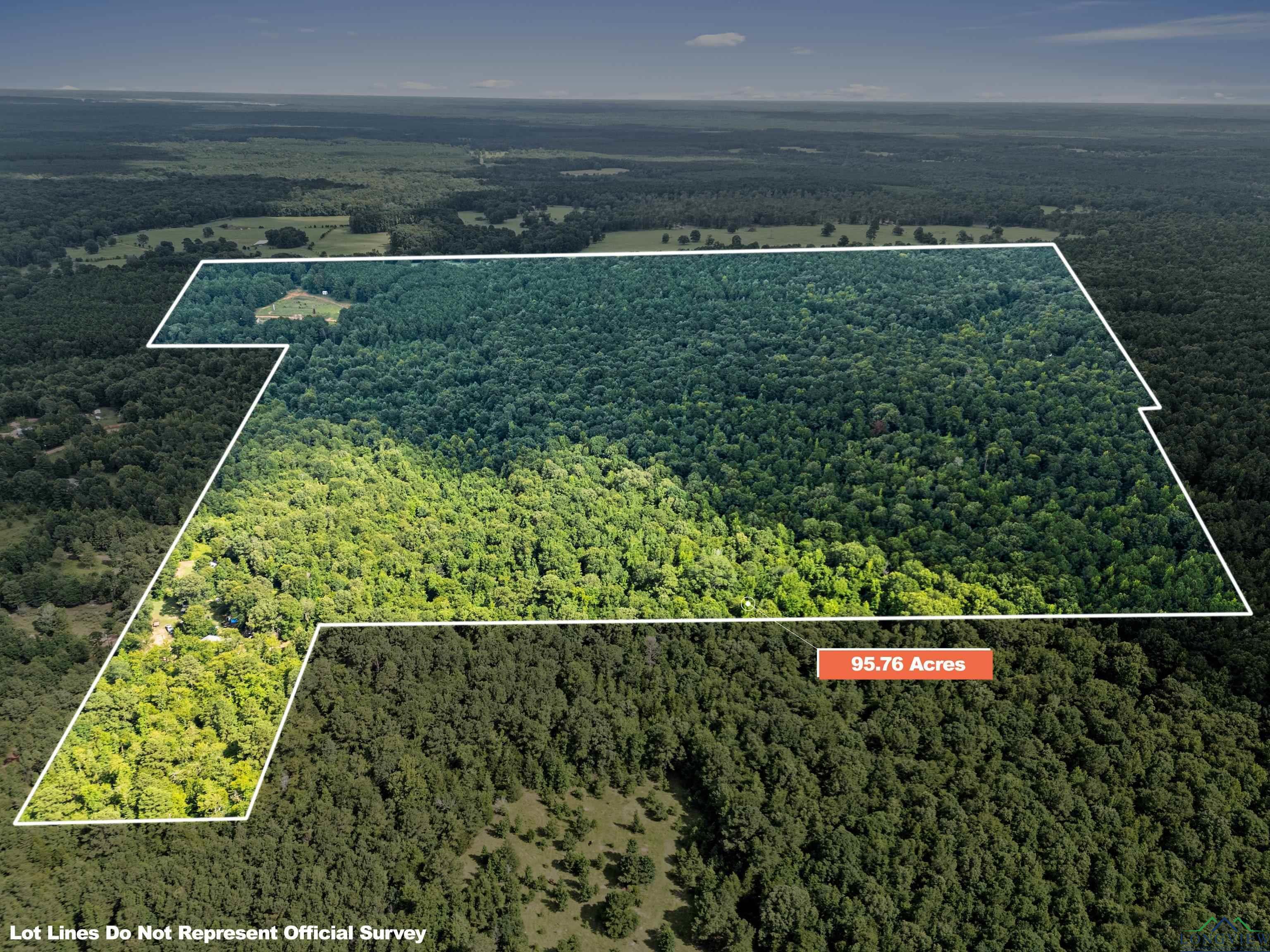 Property Photo: Tbd Fm 805 TX 75657