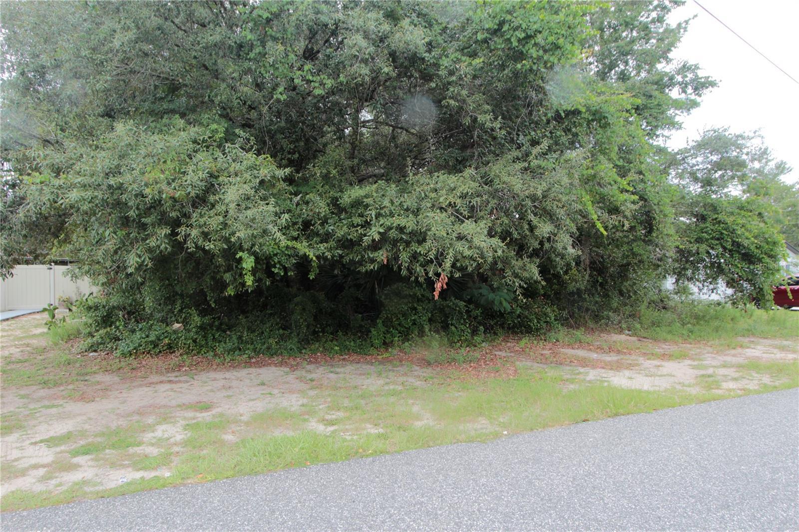 Property Photo: 0 SW 158th Street FL 34473
