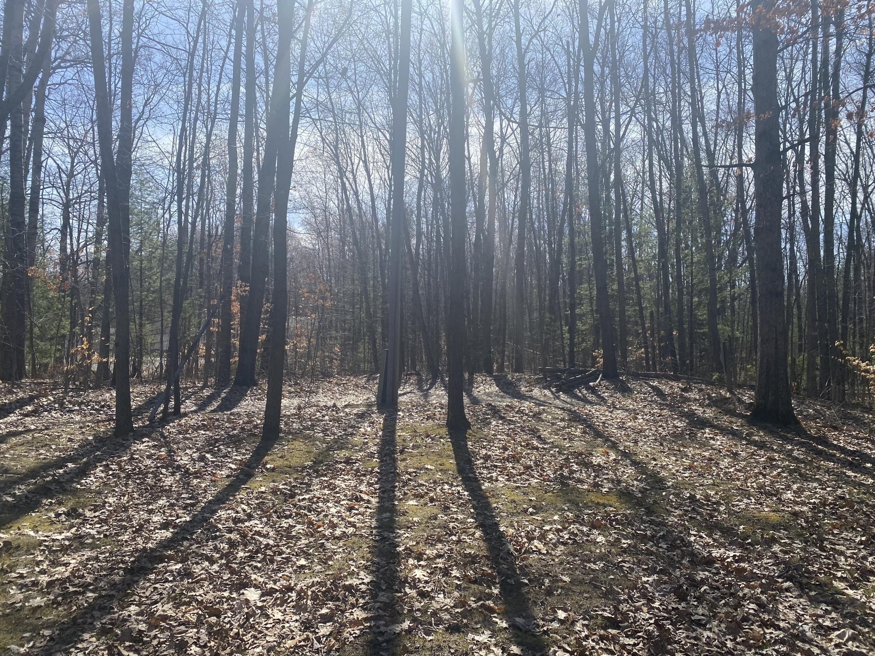 Property Photo: 9019 John Street MI 49332