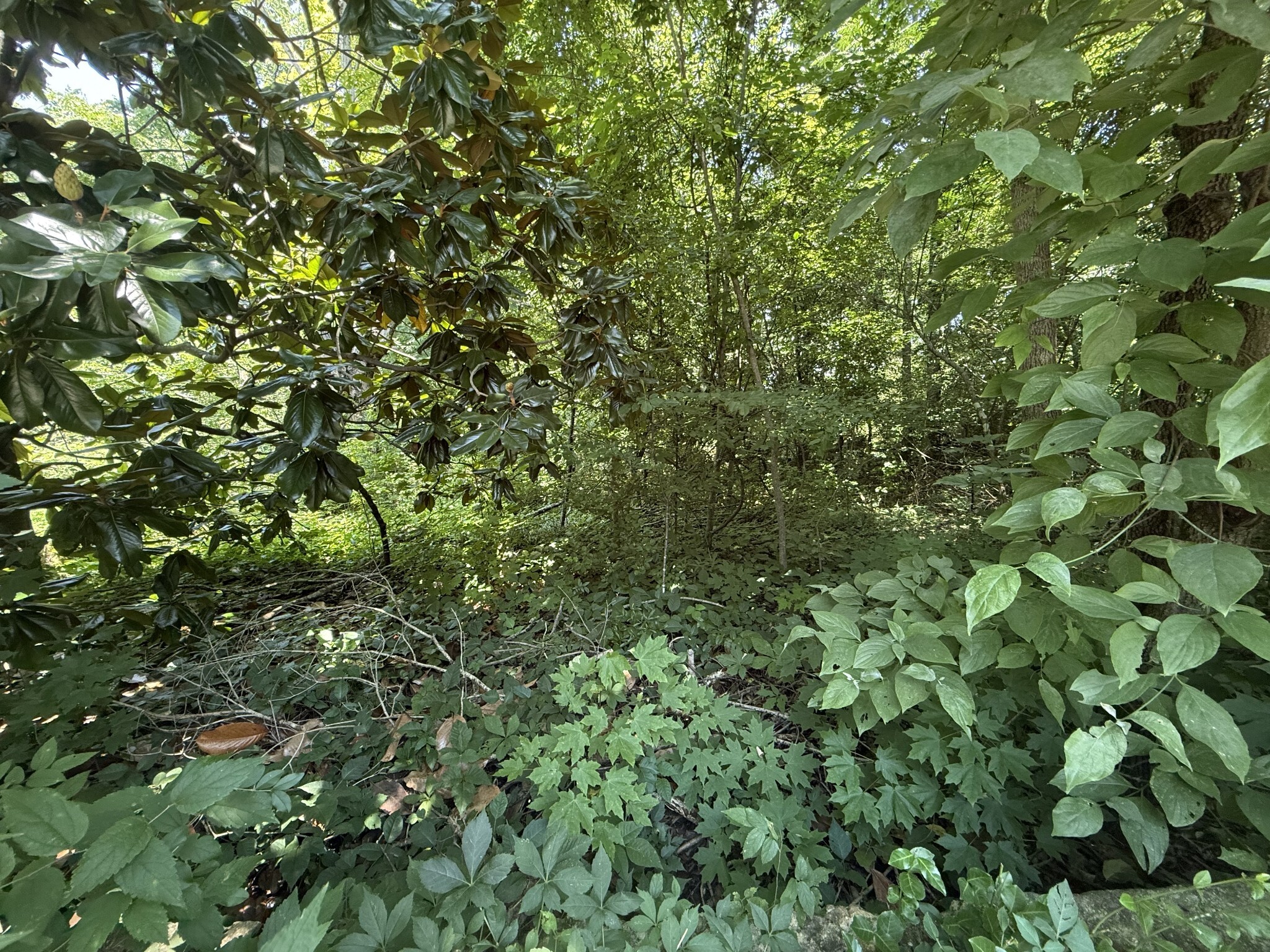Property Photo:  60 Lees Ford Ln  TN 37398 