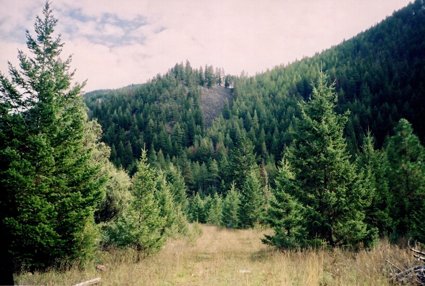 Property Photo: 14815 Hwy 200 E MT 59823