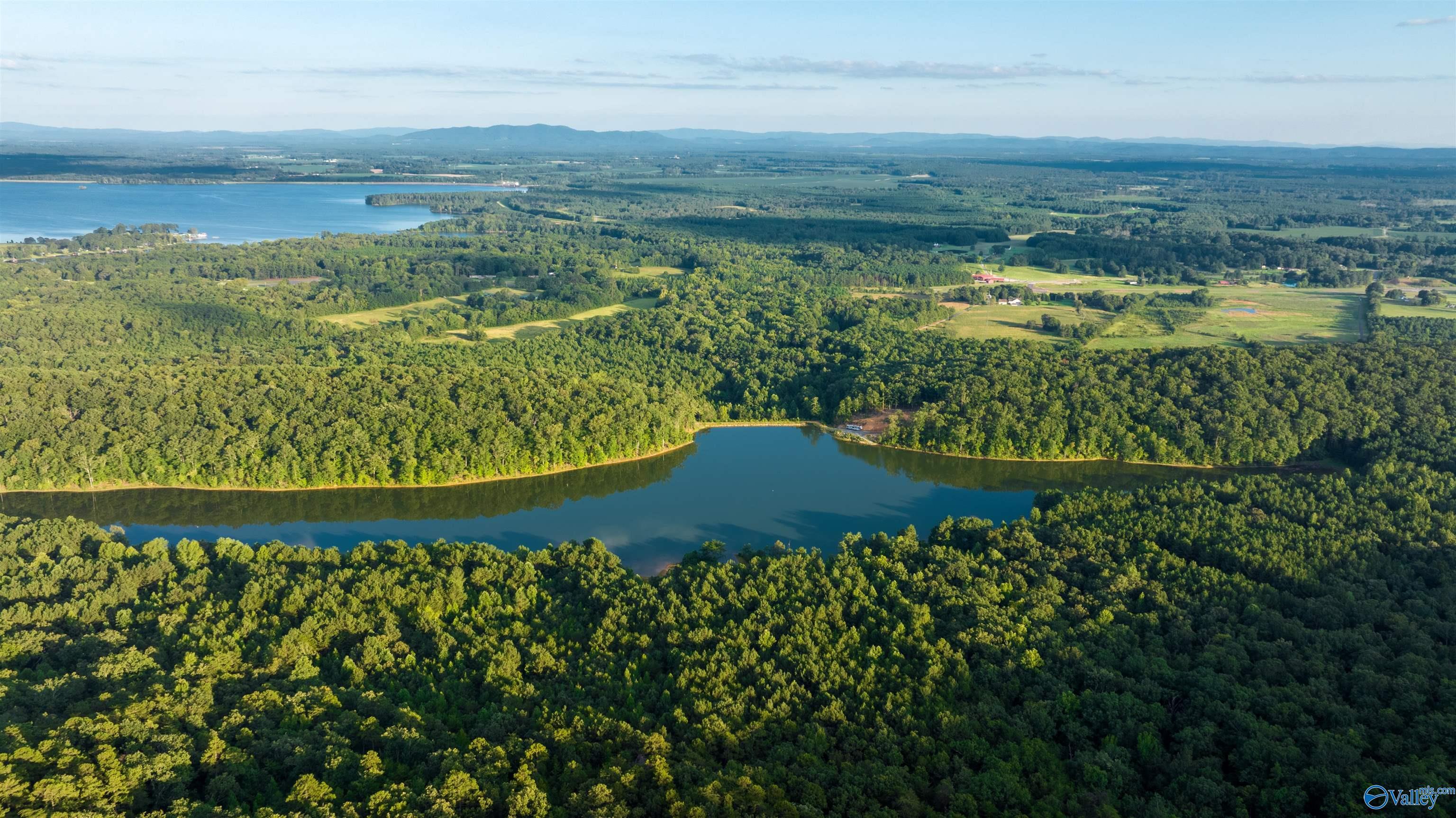 1,157 Ac County Road 505  Leesburg AL 35983 photo
